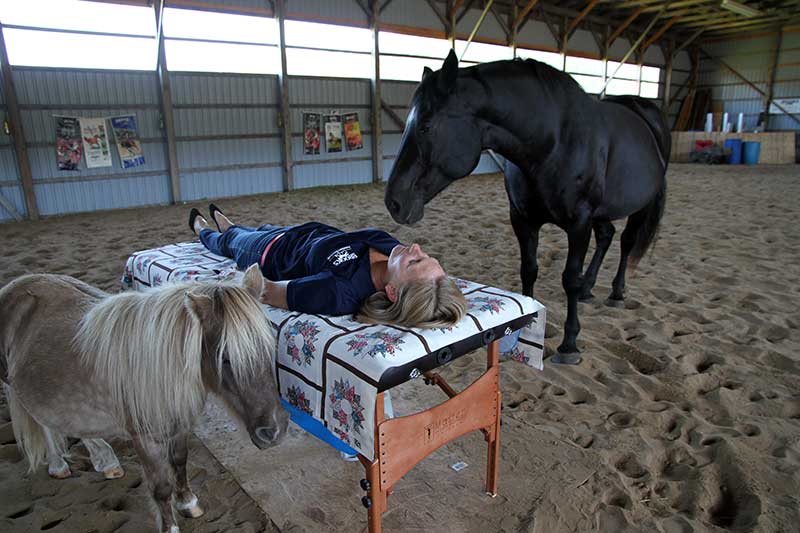 Energy Healing with Horses Workshops Phelpston, Ontario