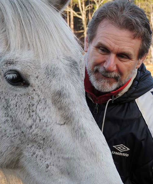 Horse Energy Healing Services