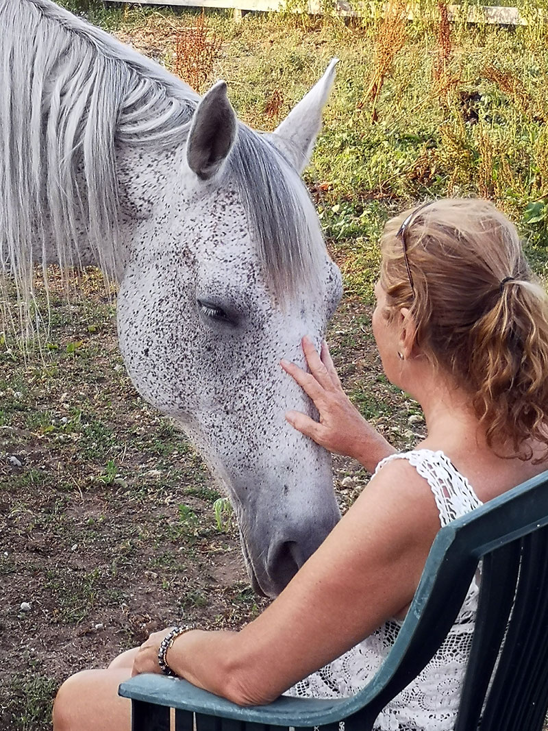 Spend One-on-One time with the horse that chooses to be with you