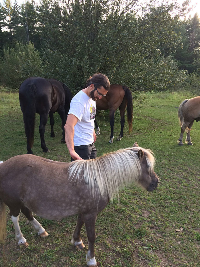 A Vacation Retreat with Horses