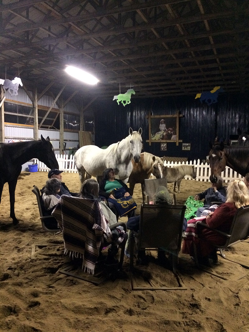 Group meditation with the horses