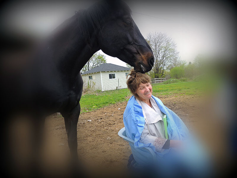 Meditating with horses designed is to promote relaxation