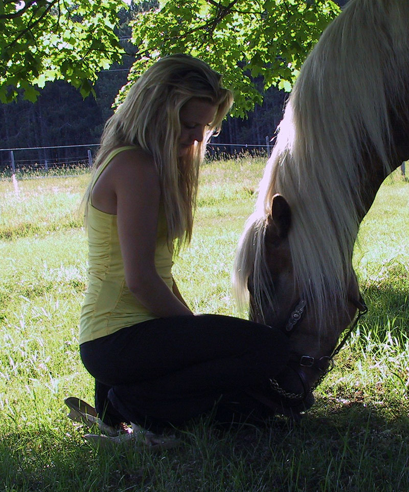 Spend some time meditating with horses
