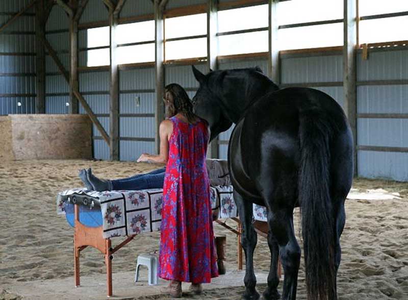 Reiki Healing with the Horses