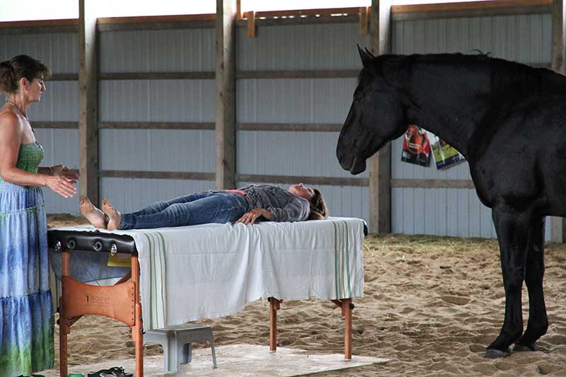 Energy Healing with Horses Workshops Phelpston, Ontario