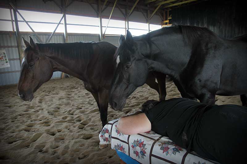 Energy Healing with Horses
