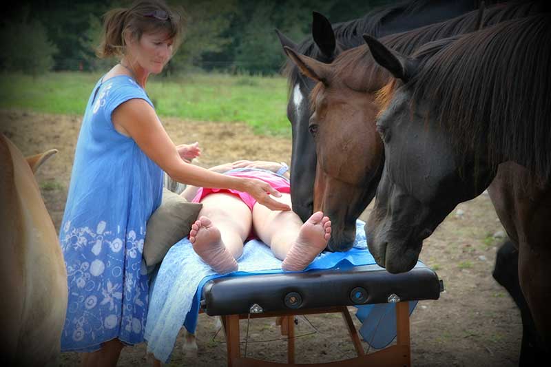 Reiki Healing with Horses | Simcoe County